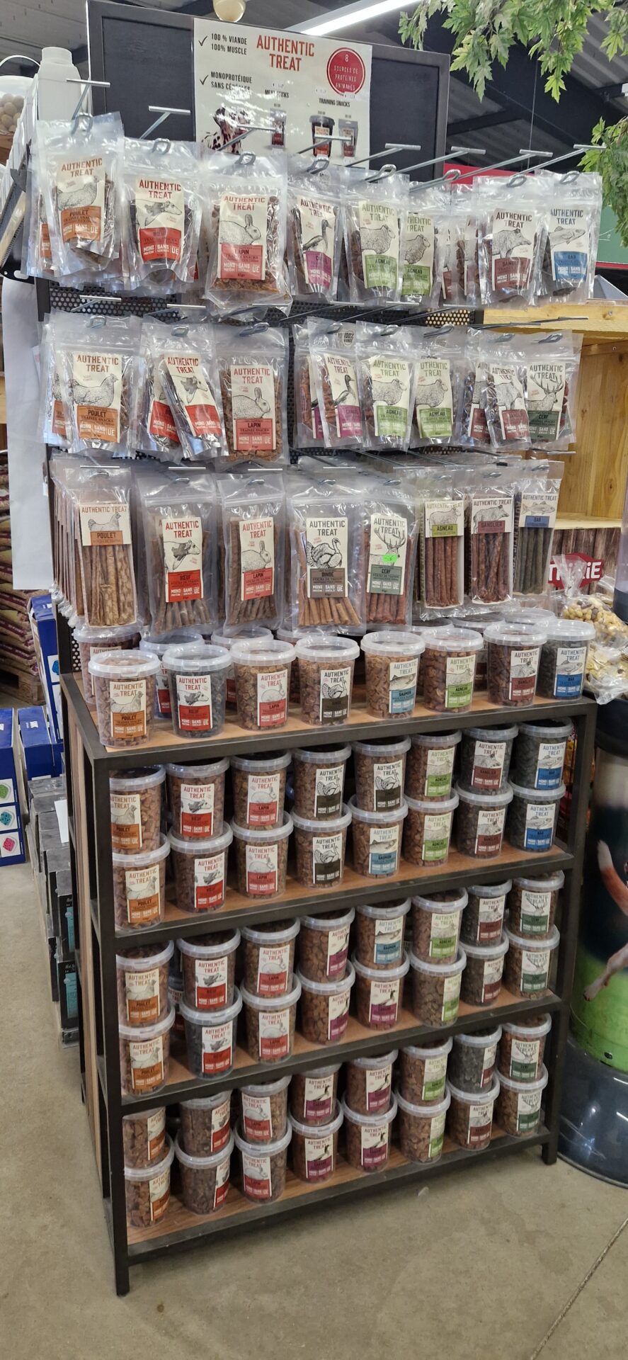 Animotopia Animalerie Morlaix 1000029654 1