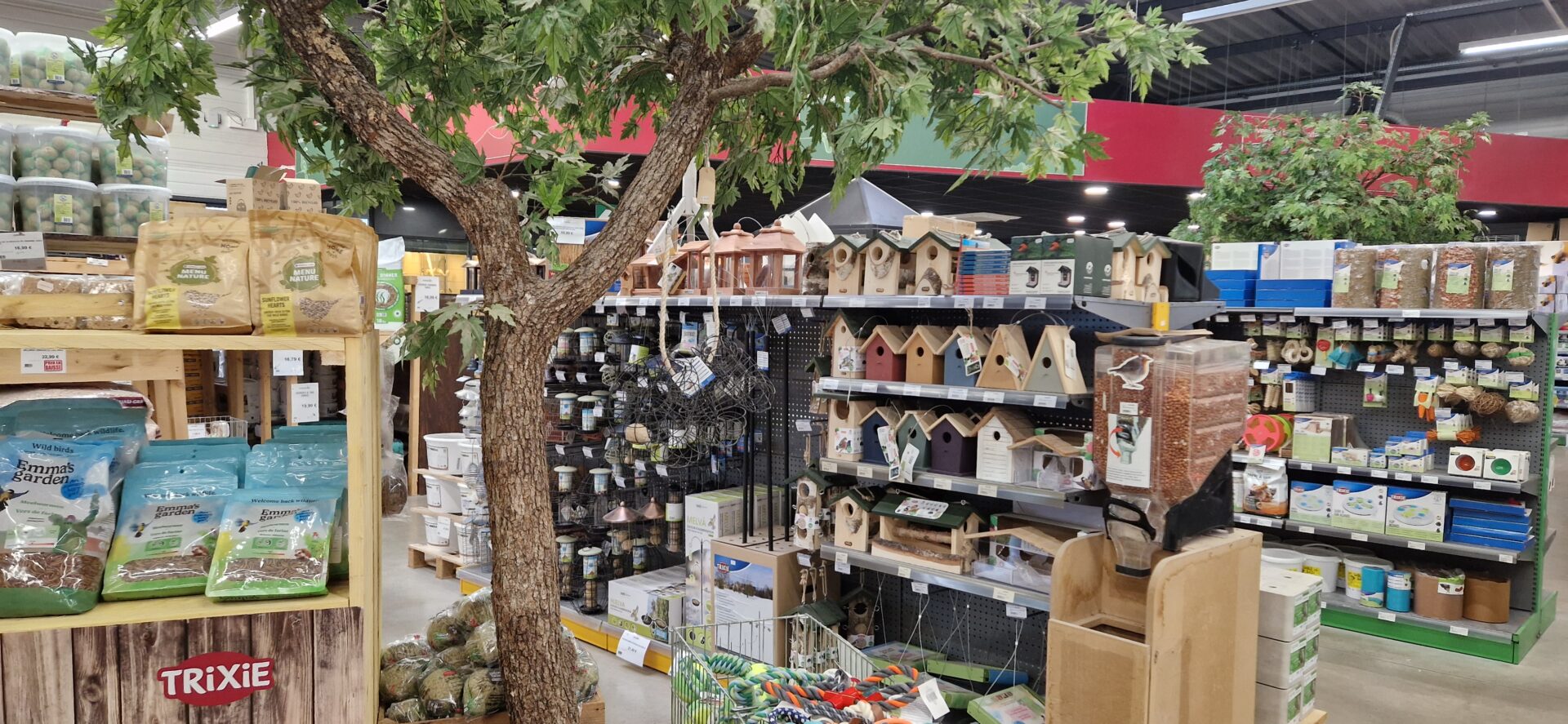 Animotopia Animalerie Morlaix 1000029655 1