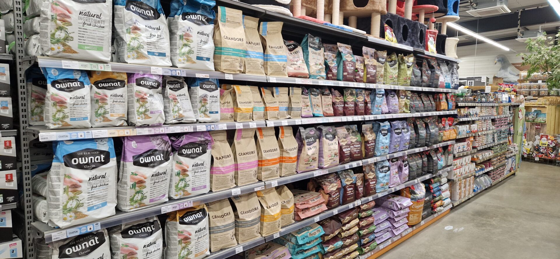 Animotopia Animalerie Morlaix 1000029656 1