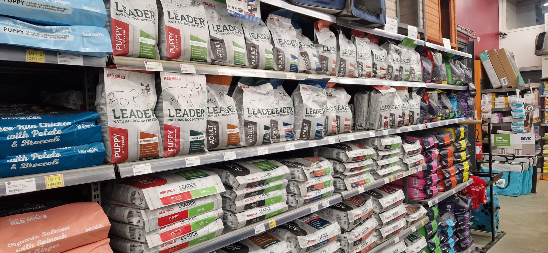 Animotopia Animalerie Morlaix 1000029658 1