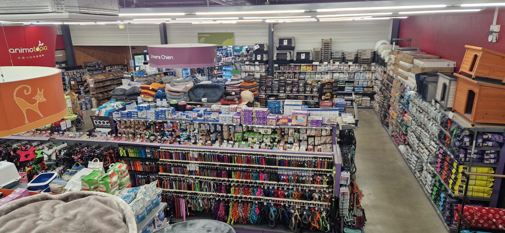 Animotopia Animalerie Morlaix 20251027 111337 1