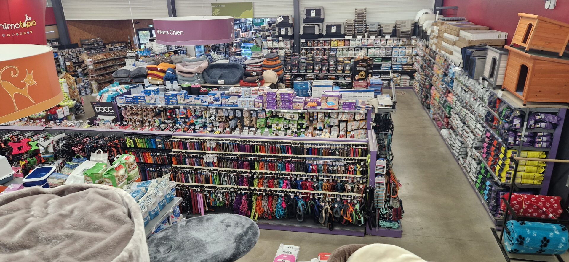 Animotopia Animalerie Morlaix 20251027 111340