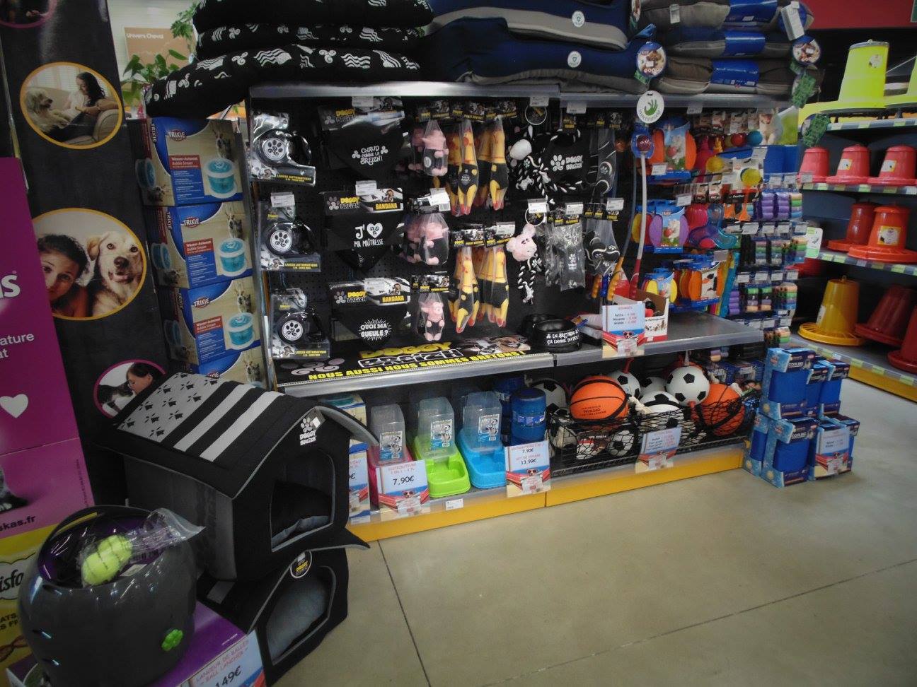 Animotopia Animalerie Morlaix 464661869 8598656620221716 3458400550482693213 N