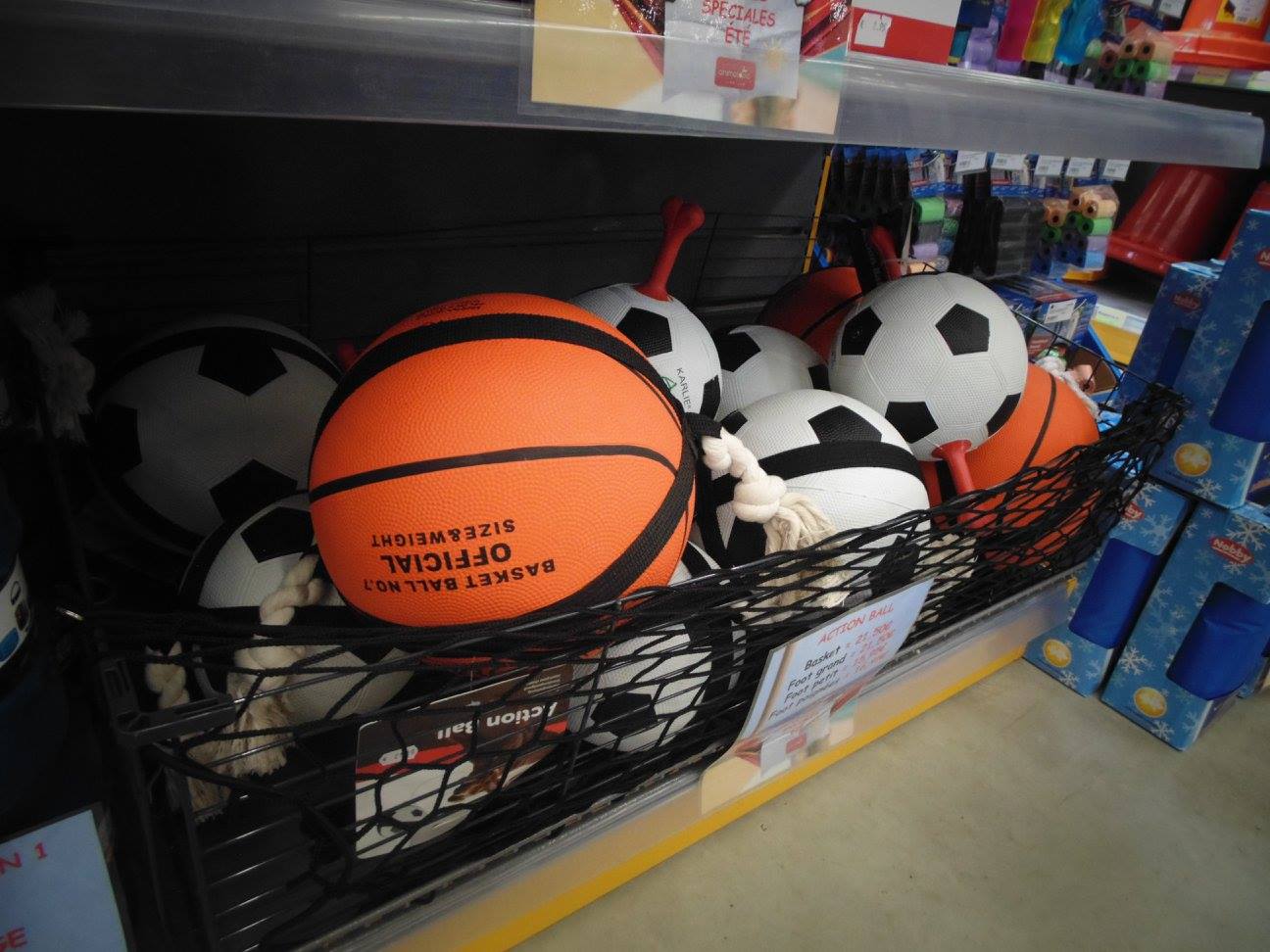 Animotopia Animalerie Morlaix 464738263 8598656636888381 7973631192337426516 N