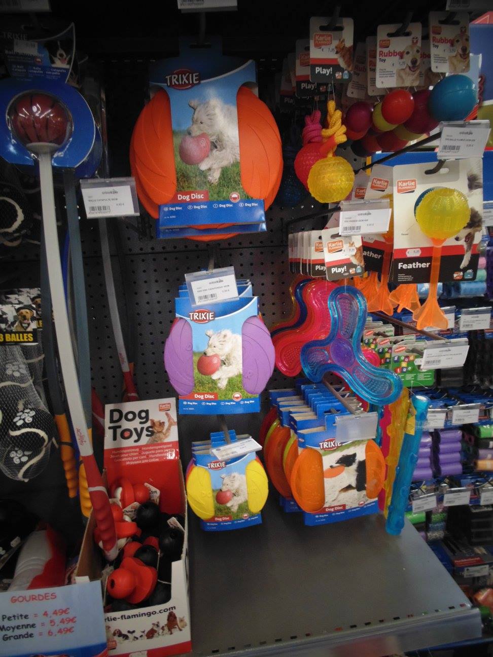 Animotopia Animalerie Morlaix 464823975 8598656633555048 9157978280481434433 N