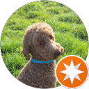 Ilona Kammel profile picture