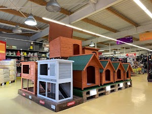 ANIMOTOPIA PUPPY LANNION place picture