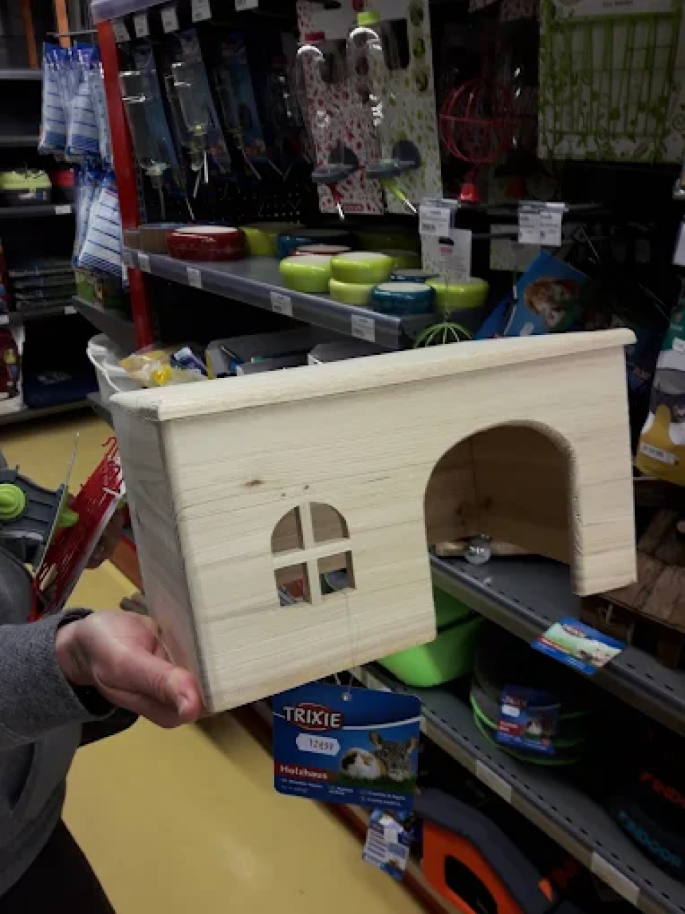 Animotopia Animalerie Morlaix Lannion 5