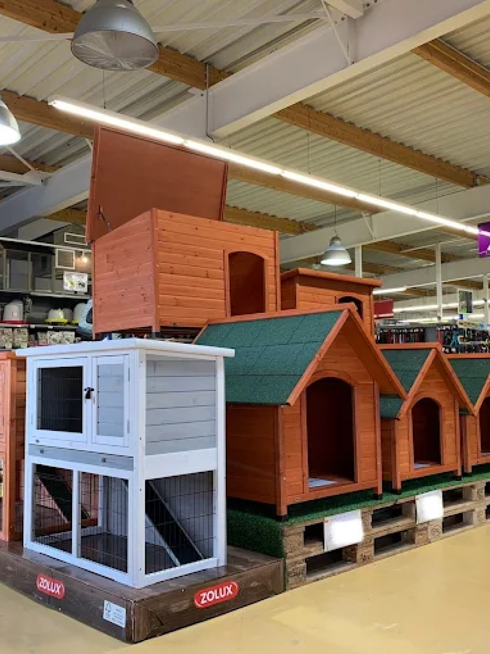 Animotopia Animalerie Morlaix Lannion