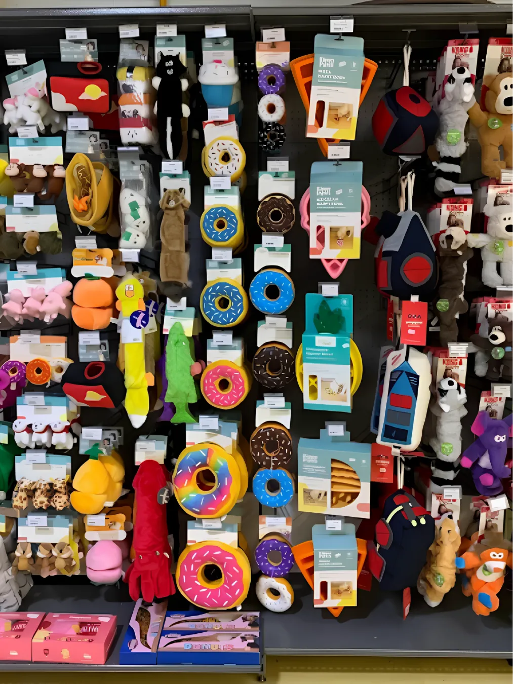 Animotopia Animalerie Morlaix Upscaled 2x Animotopia Animalerie Morlaix Lannion 3