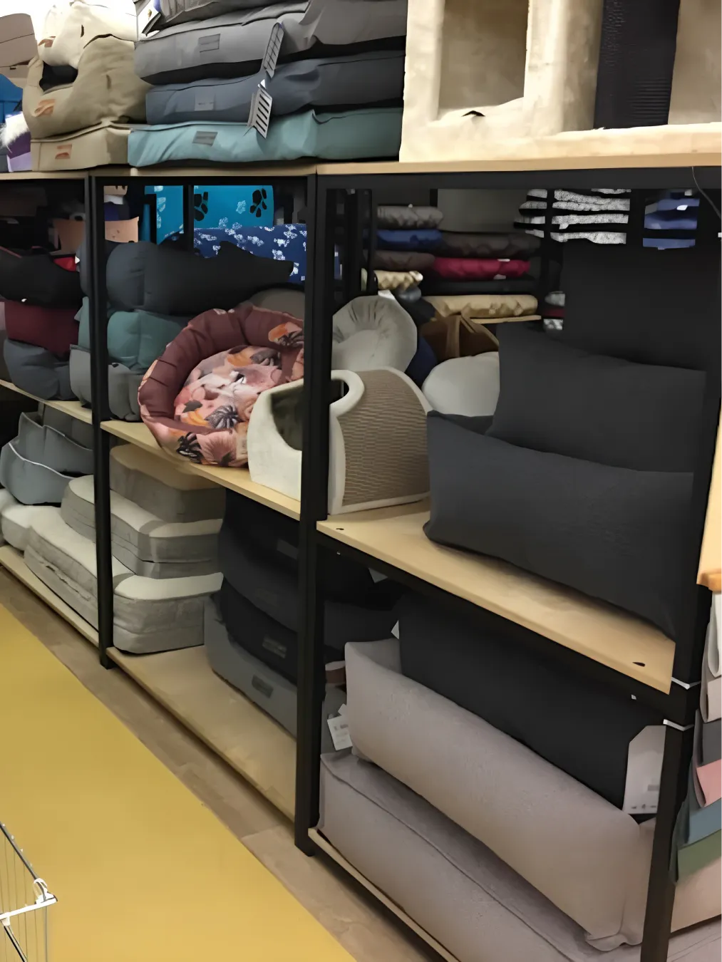 Animotopia Animalerie Morlaix Upscaled 2x Animotopia Animalerie Morlaix Lannion 4