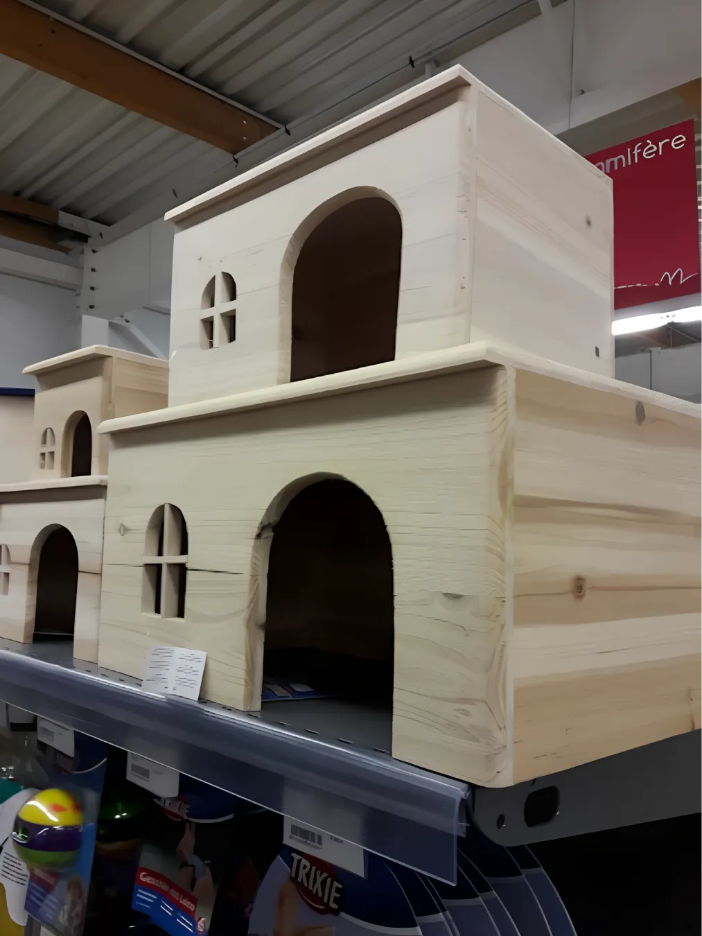 Animotopia Animalerie Morlaix Upscaled 2x Animotopia Animalerie Morlaix Lannion 6