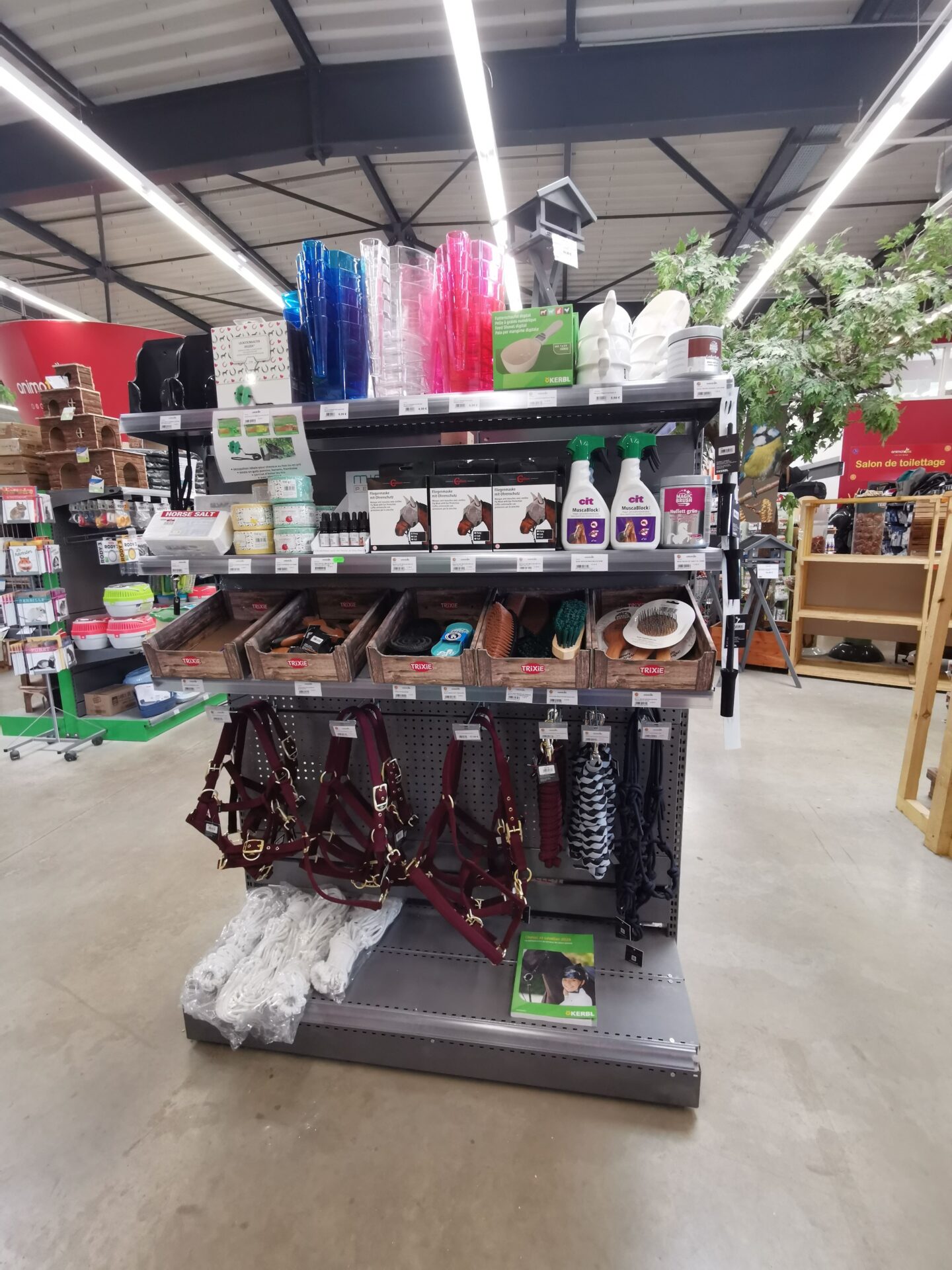 Animotopia Animalerie Morlaix IMG 20260601 142828