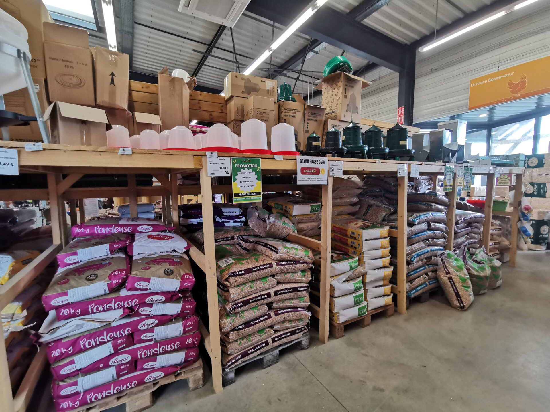Animotopia Animalerie Morlaix IMG 20260601 142853