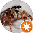 Photo de profil de Béby